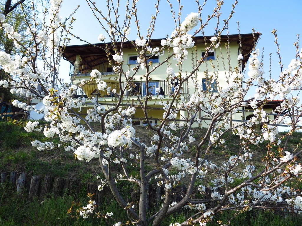 B&B Calligaris Dobrovo Kültér fotó